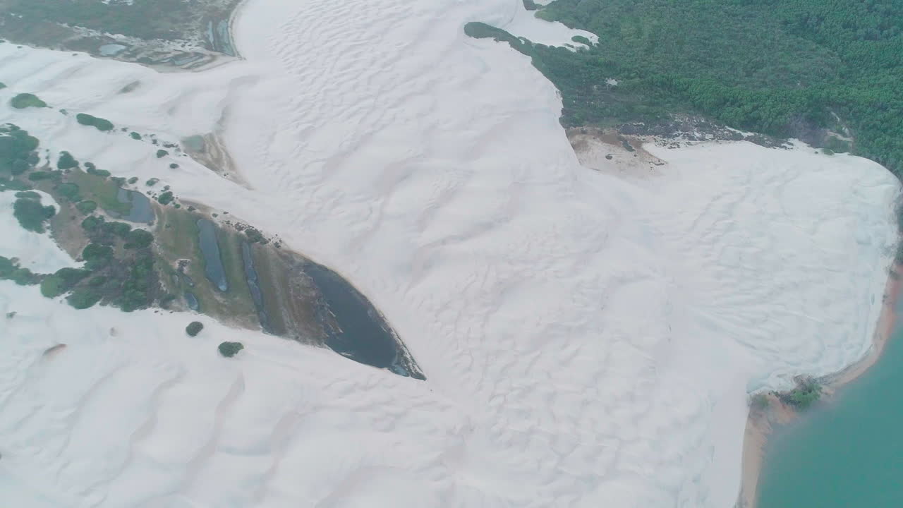 바다와 수평선을 보여주기 위해 식물이 기울어진 모래 언덕의 공중