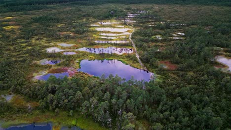 stunning bog lakes scatter across viru bog estonia bordered by evergreen pines and autumn moss shades creating a serene natural reserve rich in biodiversity and scenic beauty
