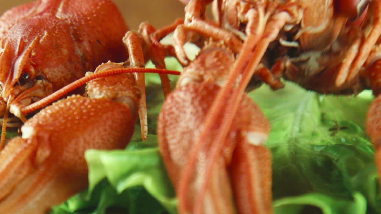 Crayfish on Lettuce