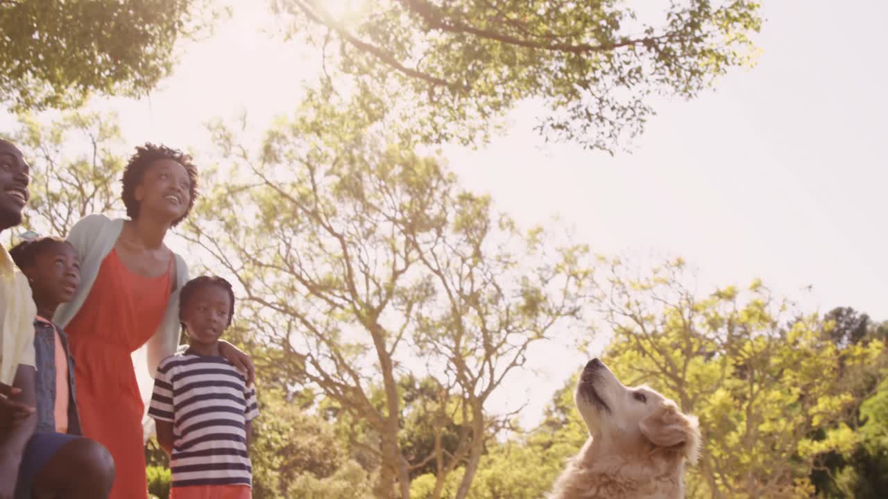 가족 은 귀여운 개 와 함께 놀고 있다