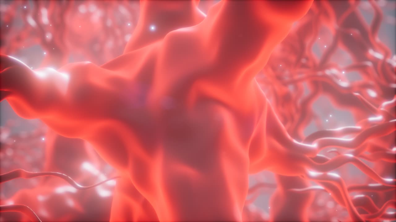 뇌 안의 신경 세포 네트워크를 통해 여행합니다.