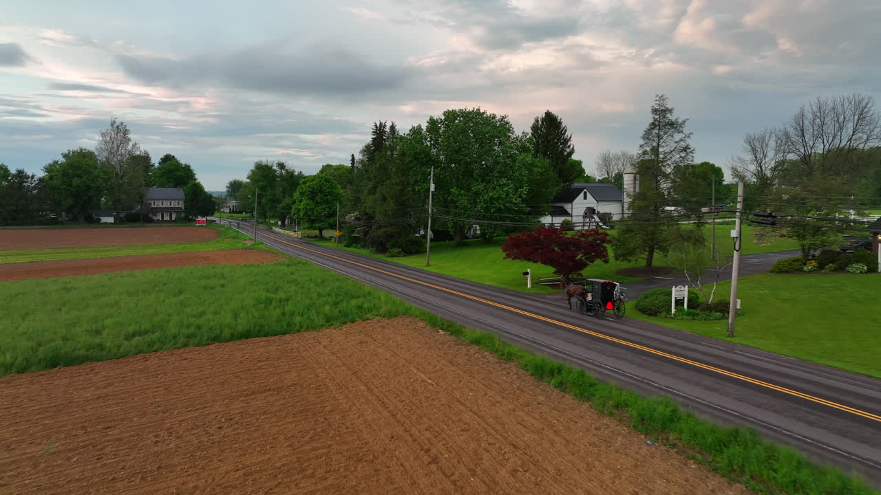 미국의 시골 거리에 있는 아미쉬 말과 마차