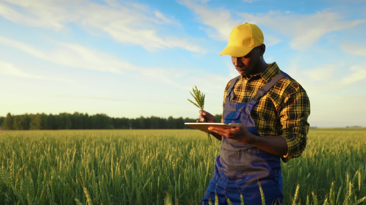 Un agronomo utilizza un tablet tecnologico per controllare i germogli di un campo. Concetto: innovazione, tecnologia, agritech, professionisti