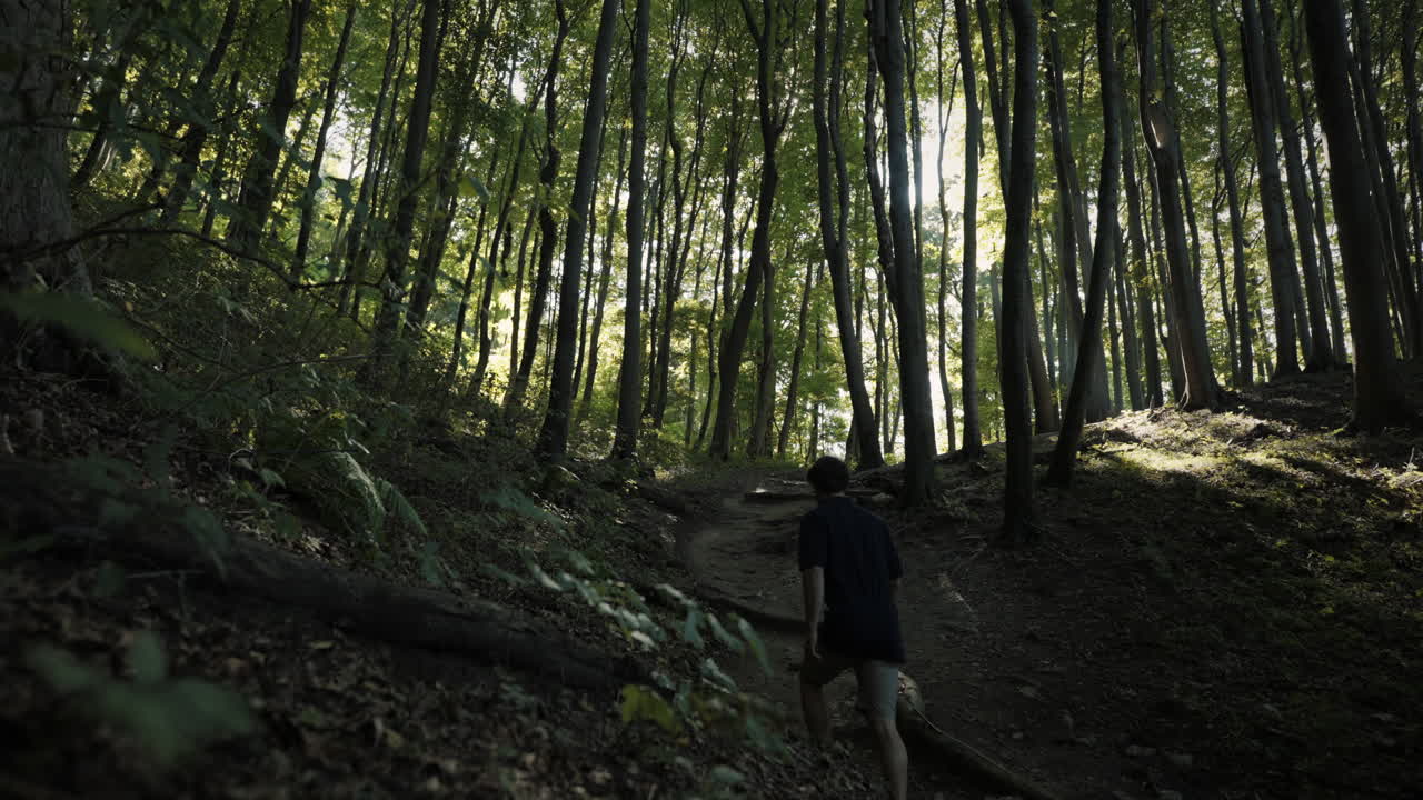 키 큰 나무 사이 숲길을 걷는 남자