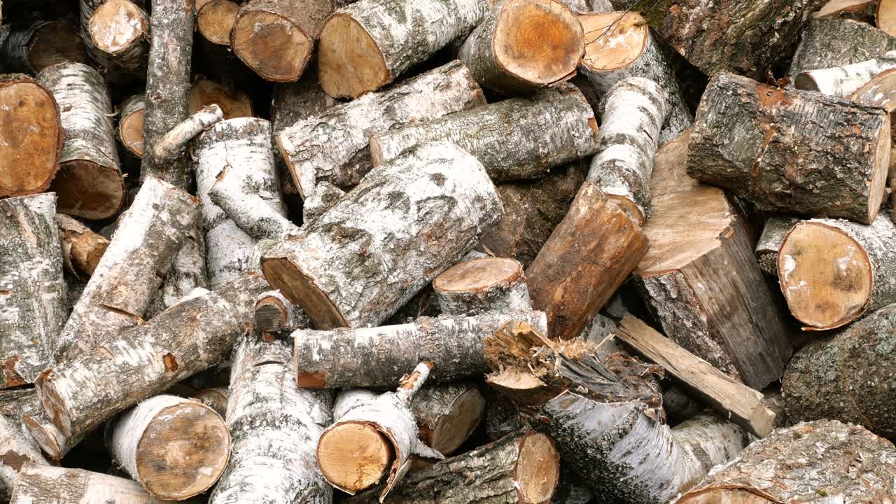 각기 다른 가로편의 잘라진 버드 나무 어리가 뒷마당이나 창고에 쌓여 있습니다.