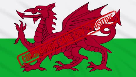 wales swaying flag stamped with positive response to covid-19, loop