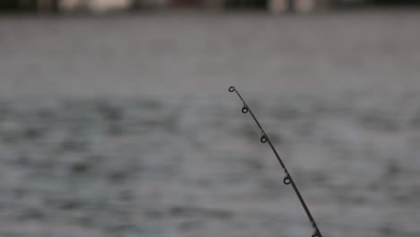 the tip of a fishing rod on the lakeside