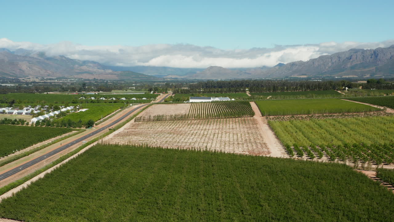 panorama de viñedos en verano con vistas a la montaña cerca de la bodega en paarl, sudáfrica