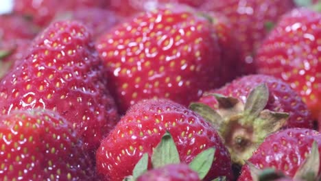 hand holding an unripe green strawberry with ripe red strawberries in a bowl a closeup shot of a persons hand holding a single unripe green strawberry contrasting it with a bowl full of freshly picked ripe red strawberries in a garden during the harvest season