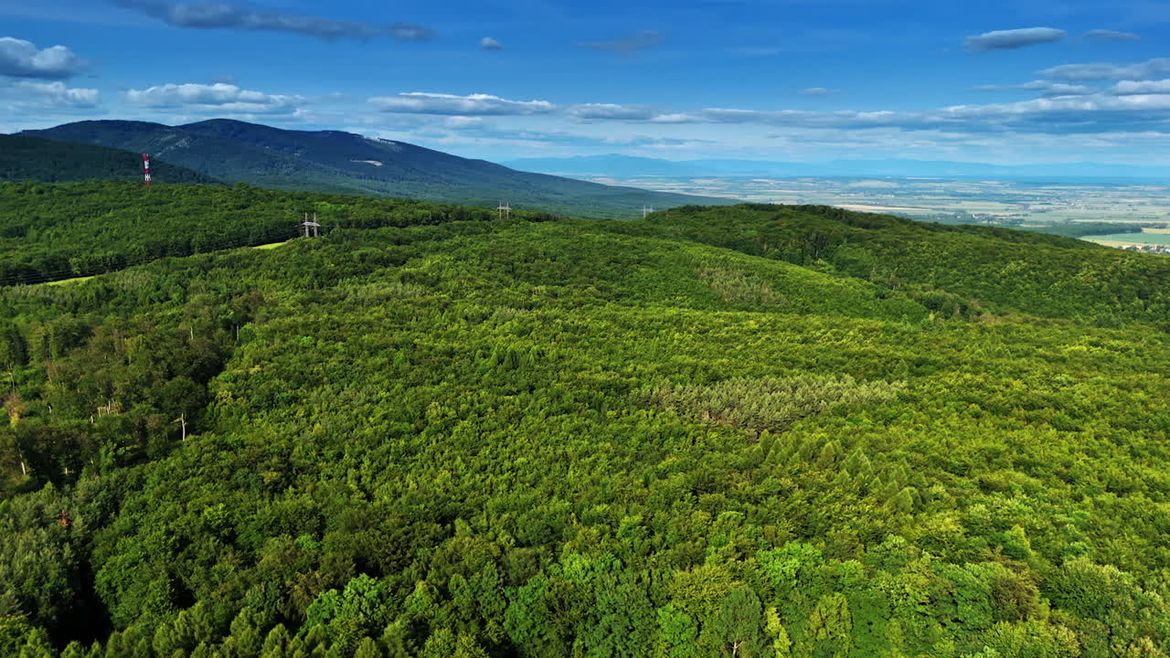 Lush green landscape under a bright sky. A vibrant forest stretches across rolling hills under a clear blue sky, showcasing nature's beauty during daylight