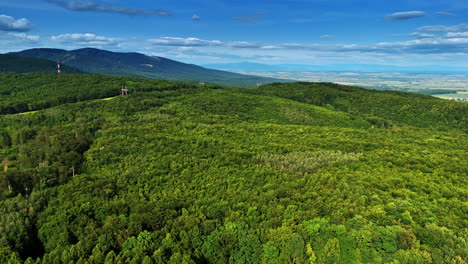 lush green landscape under a bright sky. a vibrant forest stretches across rolling hills under a clear blue sky, showcasing nature's beauty during daylight