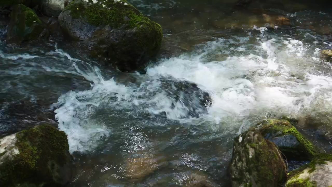 Acqua limpida scorre impetuosa su rocce muschiose in un ruscello nel bosco. Correnti turbolente creano schiuma bianca attorno alle pietre. L'energia pura della natura scorre attraverso un terreno accidentato. Ideale per temi ecologici o contenuti di avventura