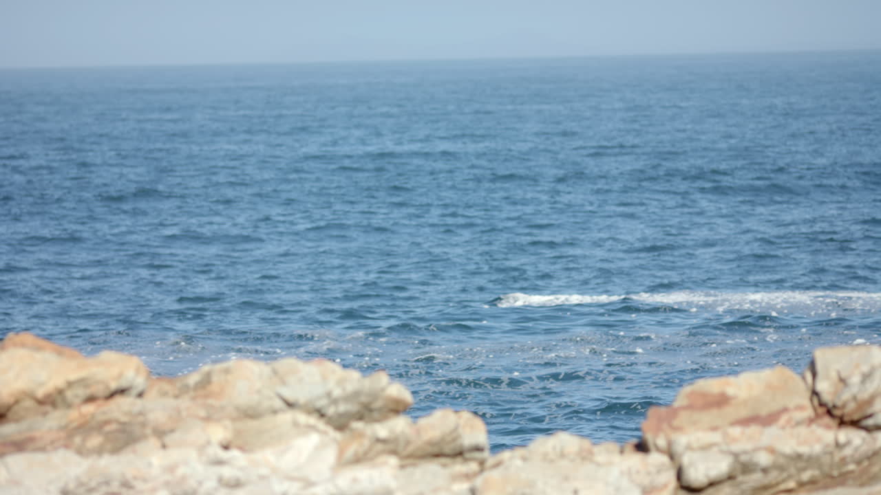 Hiking by ocean, person enjoying scenic view from rocky shore, copy space