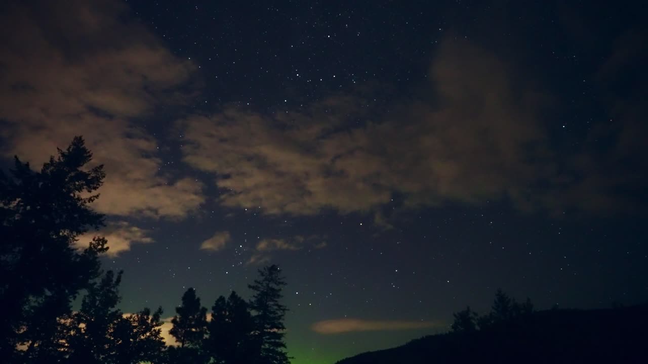 먼 나무들 위로 보이는 천상의 빛 쇼