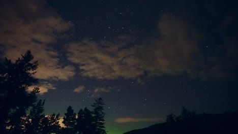 celestial light show above distant trees