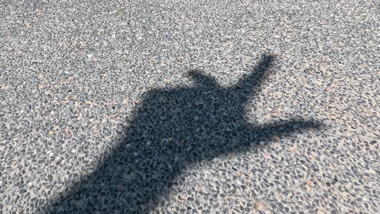 손의 그림자 인형의 순서가 변합니다.