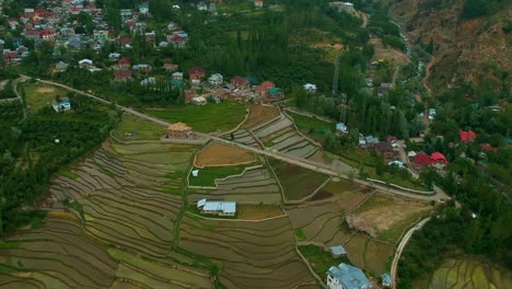 bird's eye view of beautiful rice paddy terraces in srinagar, jammu and kashmir, india. aerial