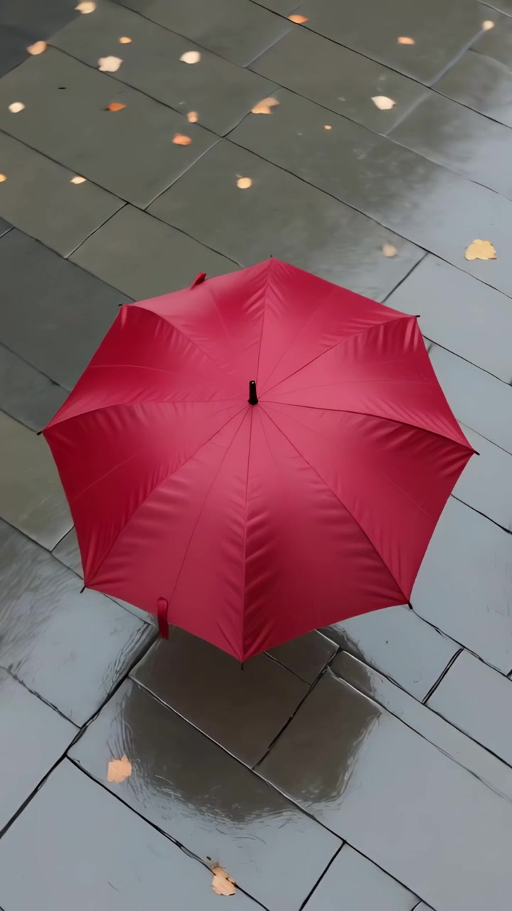 Video verticale: Telecamera in panoramica che centra un ombrello rosso su piastrelle bagnate, mostrando il riflesso e le foglie.