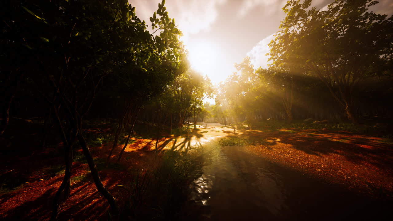 amanecer con rayos de sol a través del bosque junto al lago
