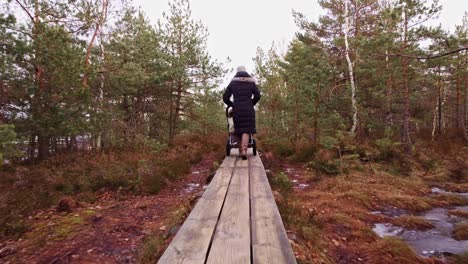 rear view of woman pushing baby in stroller in narrow wooden path at park