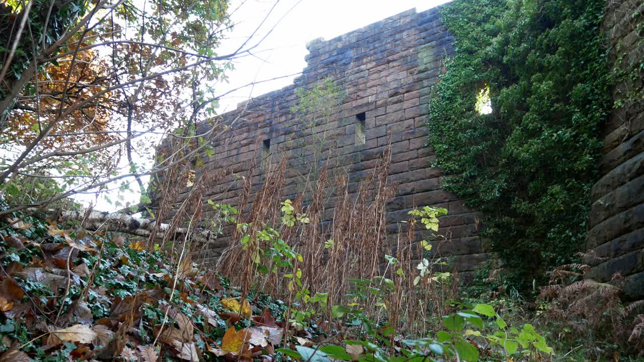 성 유적 가을 숲 단풍 삼림 지대 농촌 현장 낮은 각도 돌리 왼쪽