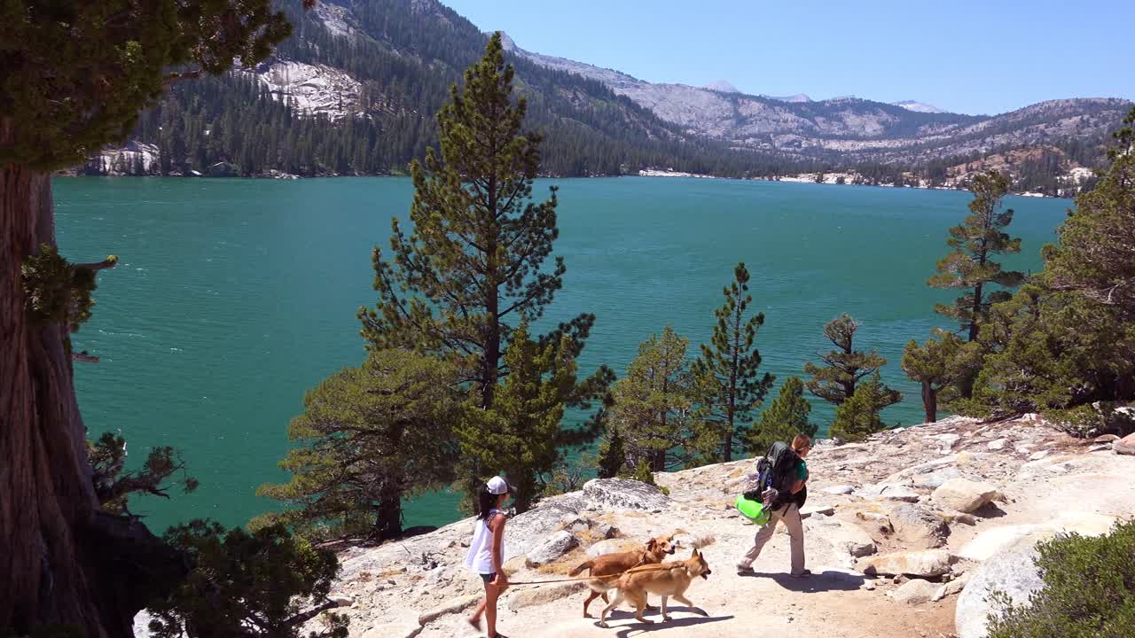 한 무리의 등산객과 개들이 시에라 네바다 산맥의 황량한 광야를 걷고 있다