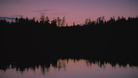 Puesta-De-Sol-Rosa-Y-Reflejo-Del-Bosque-Oscuro-En-El-Lago-Sueco