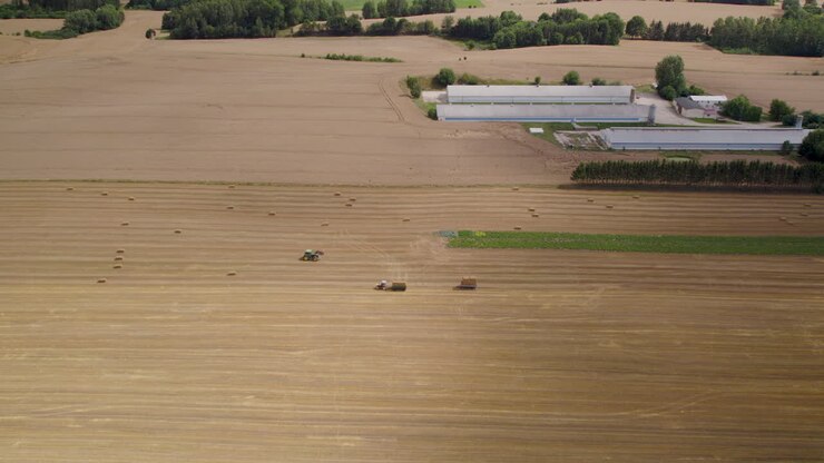 Trucks and tractors harvest straw from field