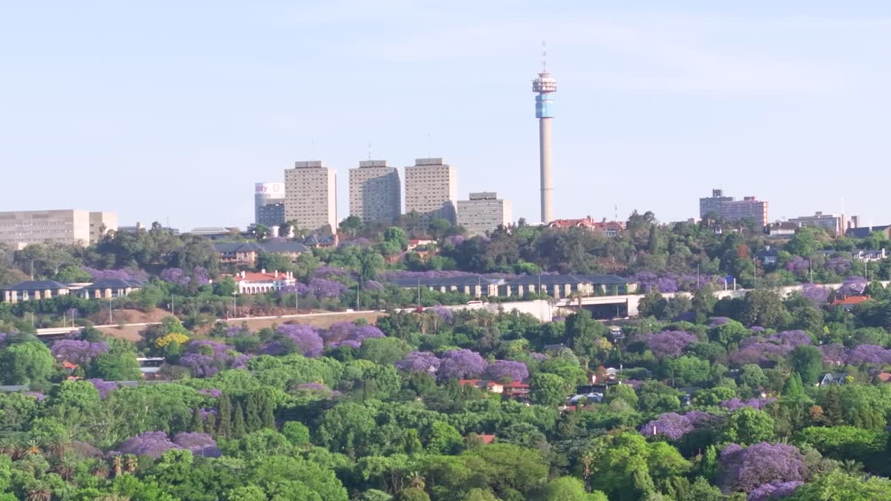 Northern sandton, johannesburg, showcasing vibrant jacaranda trees and city skyline, aerial view