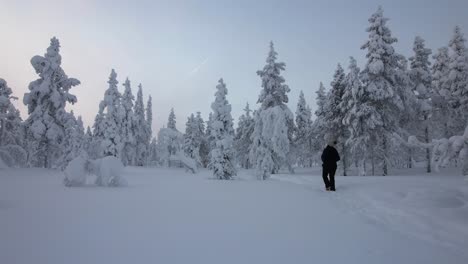 chica paseando, explorando el paisaje en el bosque nevado en laplandia, finlandia, círculo ártico