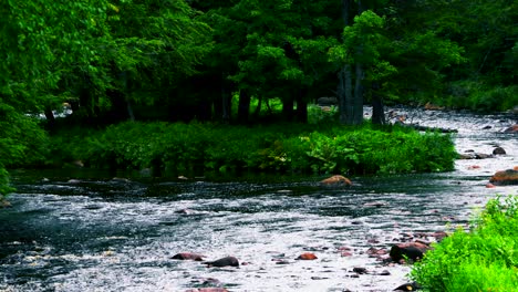 Ein-Fluss-Windet-Sich-Um-Einen-Felsvorsprung-Eines-Grünen,-Von-Bäumen-Gesäumten-Flussufers