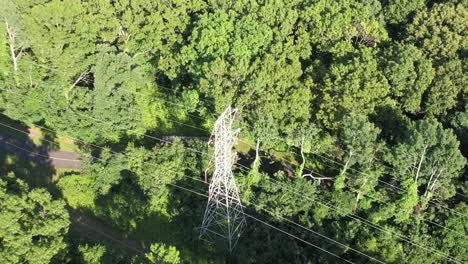 una vista aérea de árboles verdes altos en un día soleado