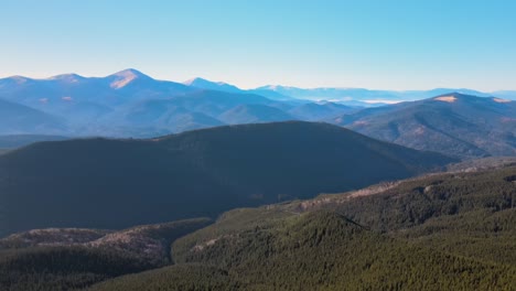 aerial view of mountain hills covered with dense green pine woods on bright day