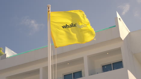 yellow flag of whala hotels outside on bavaro beach waving in wind. low angle shot, slow motion