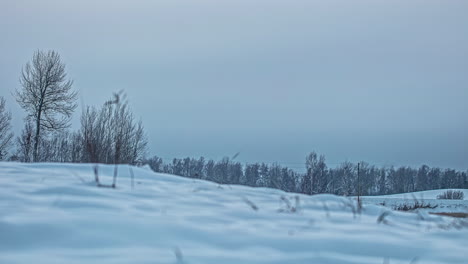 低角度拍攝雪覆蓋的田野,背景是日落,黃色天空是時間延遲