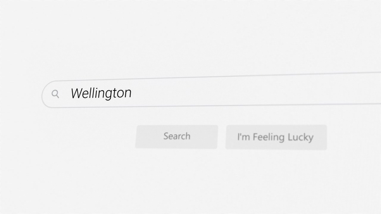 Ricerca di Wellington sul browser Internet