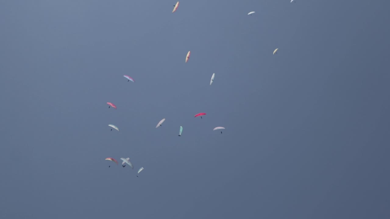 패러글라이딩 대회에서 패러글라이더 스카이다이빙