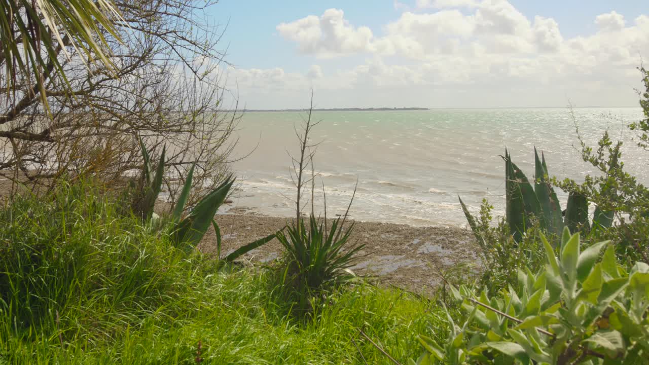 사막 해변에 있는 낙원의 놀라운 이미지