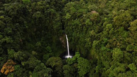 Drone-gimbal-up-revealing-hidden-waterfall-in-middle-of-dense-green-jungle