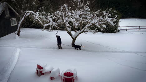 man walks his black poodle across snowy farm field