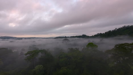 saül sunrise aerial view, foggy and mystic. french guiana amazonian park