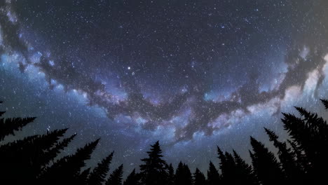 milky way over a forest at night