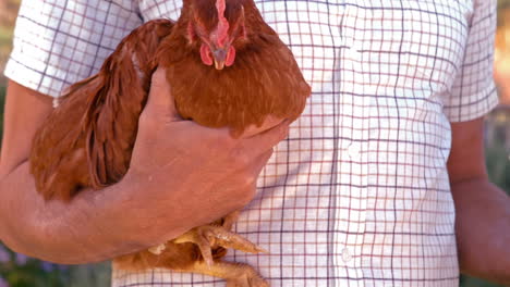 farmer holding chicken and eggs in slow motion