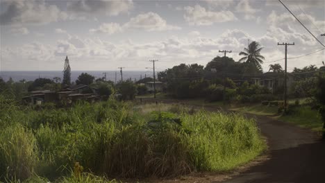 Anahola-Kauai-Hawaii-