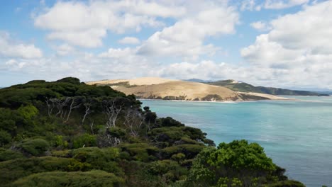 Toma-Panorámica-De-árboles-Kauri-En-Crecimiento-Y-Hermosa-Vista-Azul-Del-Océano-En-Nueva-Zelanda---Colinas-De-Dunas-De-Arena-En-El-Fondo