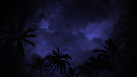 Palms-trees-in-jungle-in-dark-night