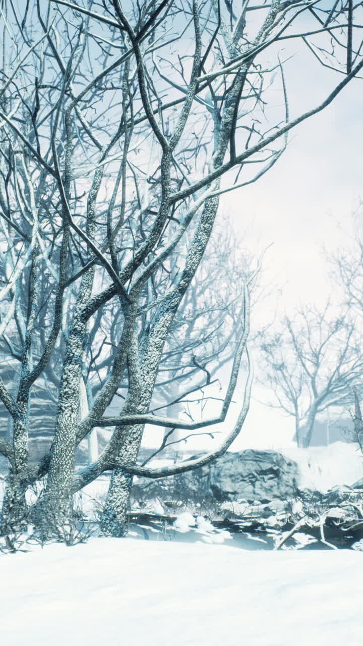 Snødekte trær om vinteren