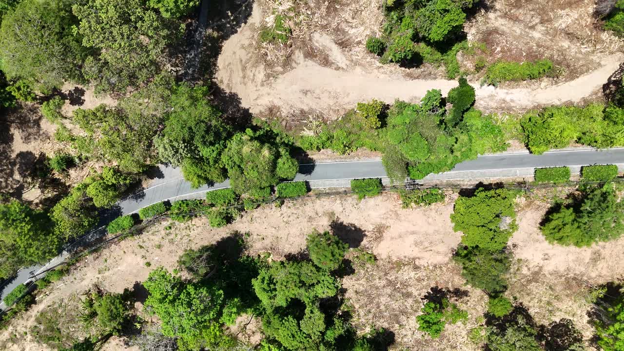 las imágenes de drones capturan un camino sinuoso a través de la vegetación exuberante en phuket, tailandia, bajo la luz del día con un movimiento suave de la cámara