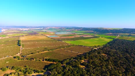 Toma-Aérea-De-Drones-De-Tierras-De-Cultivo-Aradas-Con-árboles-Frutales-Al-Atardecer