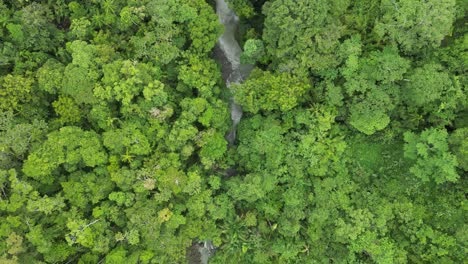 Drone-flying-over-and-following-a-winding-river-flowing-through-a-dense-jungle